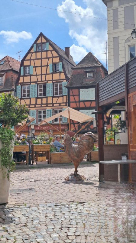 Kolmar, tanueurs